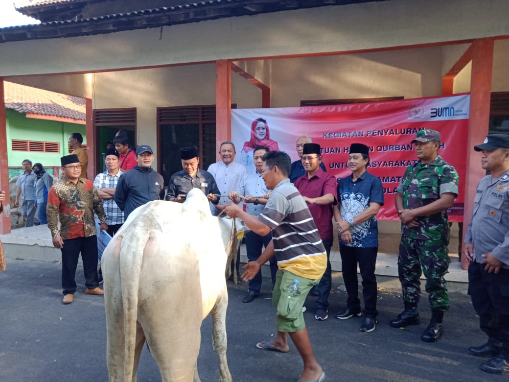 Idul Adha, Ketua DPR RI salurkan 7 ekor sapi dan 10 ekor kambing di Boyolali Idul Adha, Ketua DPR RI salurkan 7 ekor sapi dan 10 ekor kambing di Boyolali
