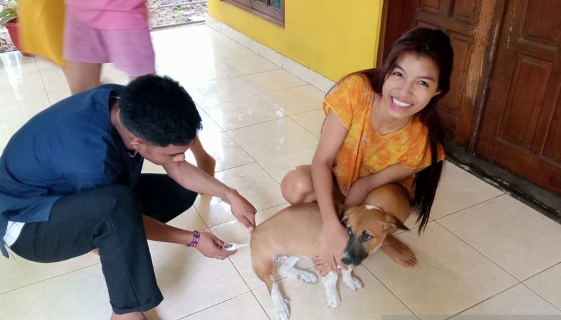Lagi, bocah meninggal dunia setelah digigit anjing