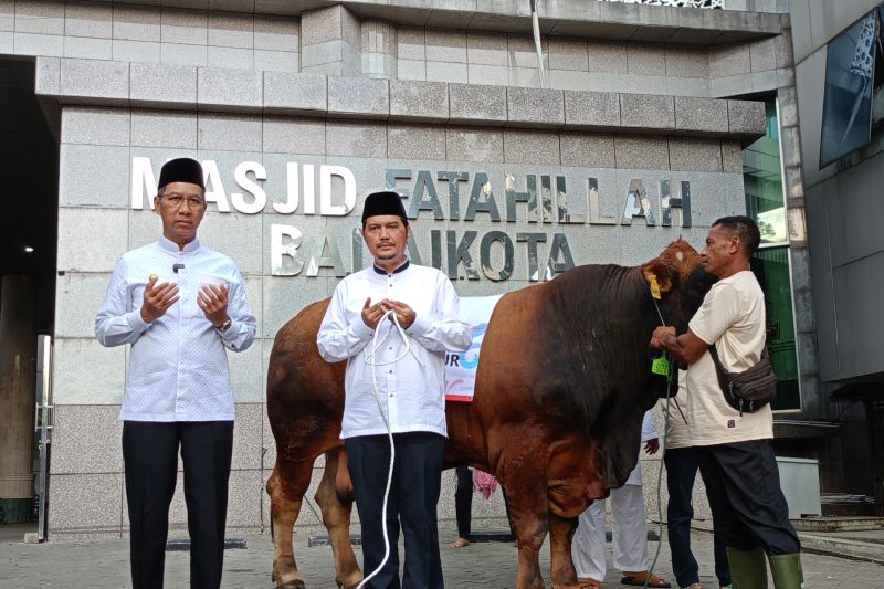 Heru serahkan sapi kurban seberat satu ton di Balai Kota DKI