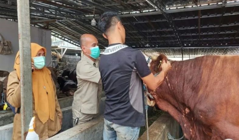 DLH DKI ajak masyarakat terapkan prinsip Ecoqurban