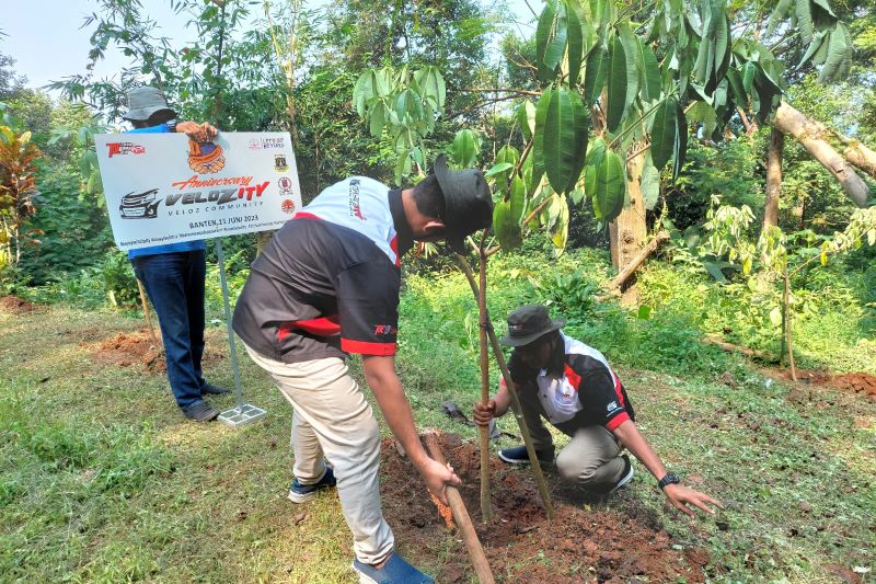 Velozity tanam 300 pohon dalam rangkaian hari jadi yang ke-10