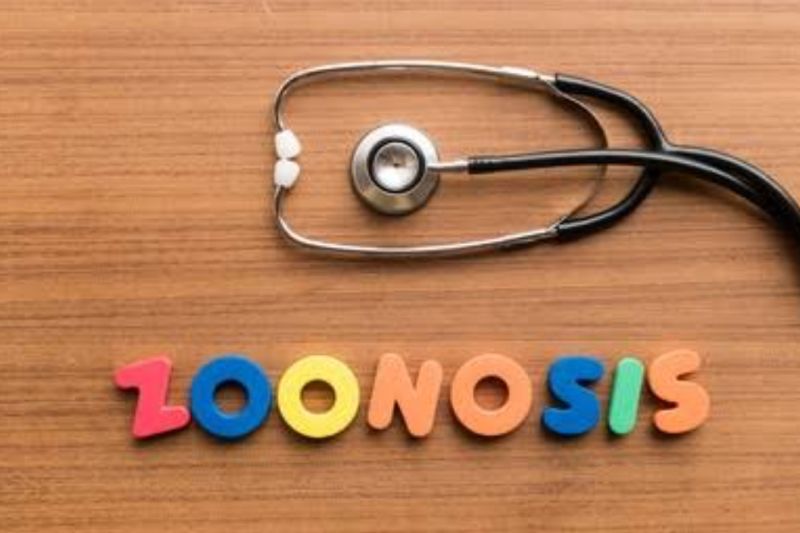 KBRI Tokyo tawarkan Hokkaido University kerja sama pemetaan zoonosis