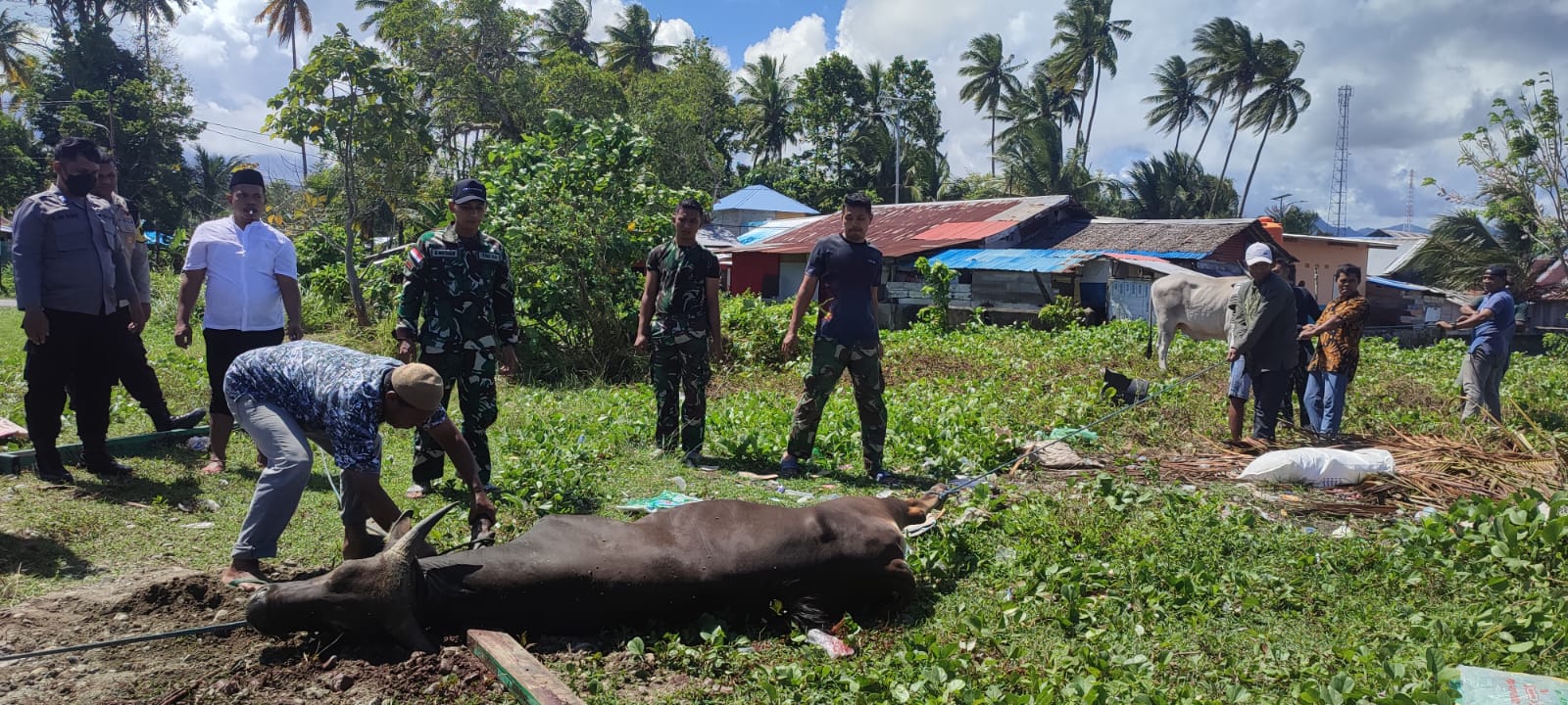 Satgas Yonarmed 1 Kostrad rayaan Idul Adha dan potong hewan kurban di daerah penugasan Satgas Yonarmed 1 Kostrad rayaan Idul Adha dan potong hewan kurban di daerah penugasan