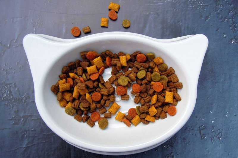 Kaspersky bongkar pencurian data pribadi dari smart pet feeder Kaspersky bongkar pencurian data pribadi dari smart pet feeder