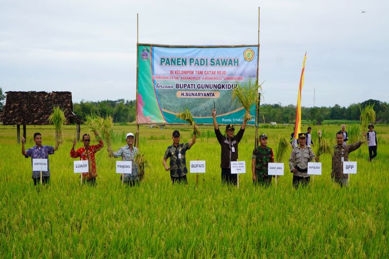 Dinas Pertanian Gunungkidul imbau petani percepat masa tanam Dinas Pertanian Gunungkidul imbau petani percepat masa tanam