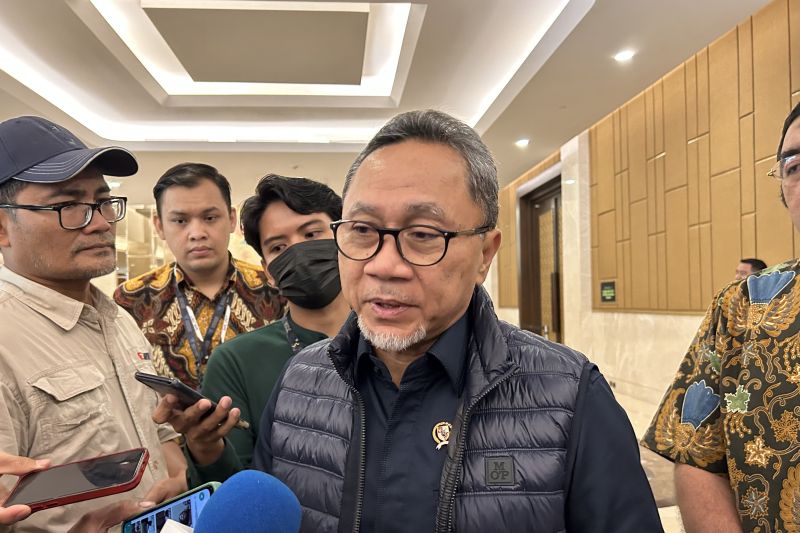 Jaga stok beras, Mendag buka opsi impor beras dari India