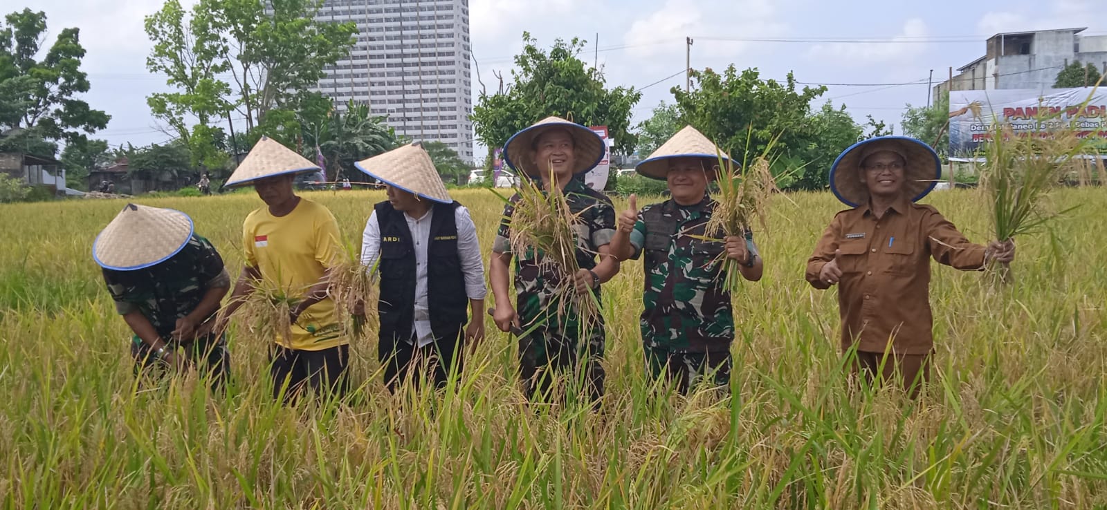 Pangdam I BB bersama petani lakukan panen padi tanpa pupuk kimia Pangdam I BB bersama petani lakukan panen padi tanpa pupuk kimia