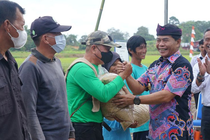 Dorong swasembada beras, Gubernur Kaltara bagi benih padi