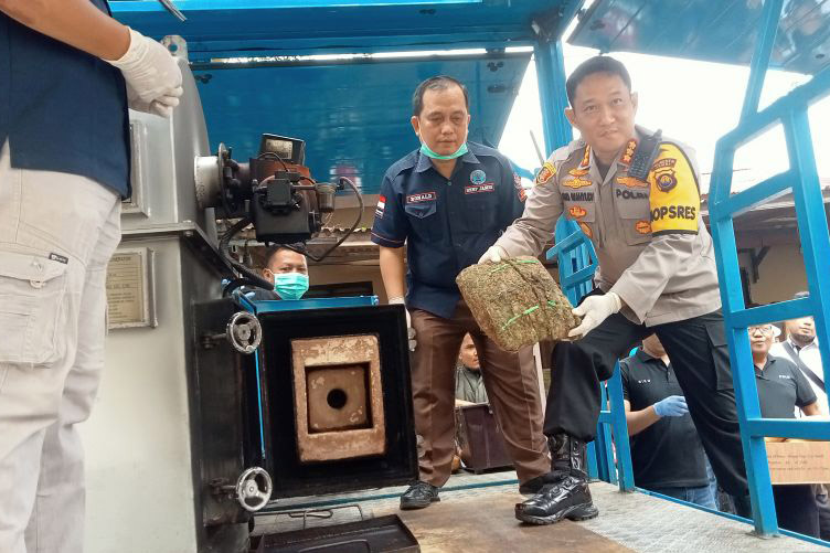 23,4 kilogram ganja dimusnahkan Polresta Jambi