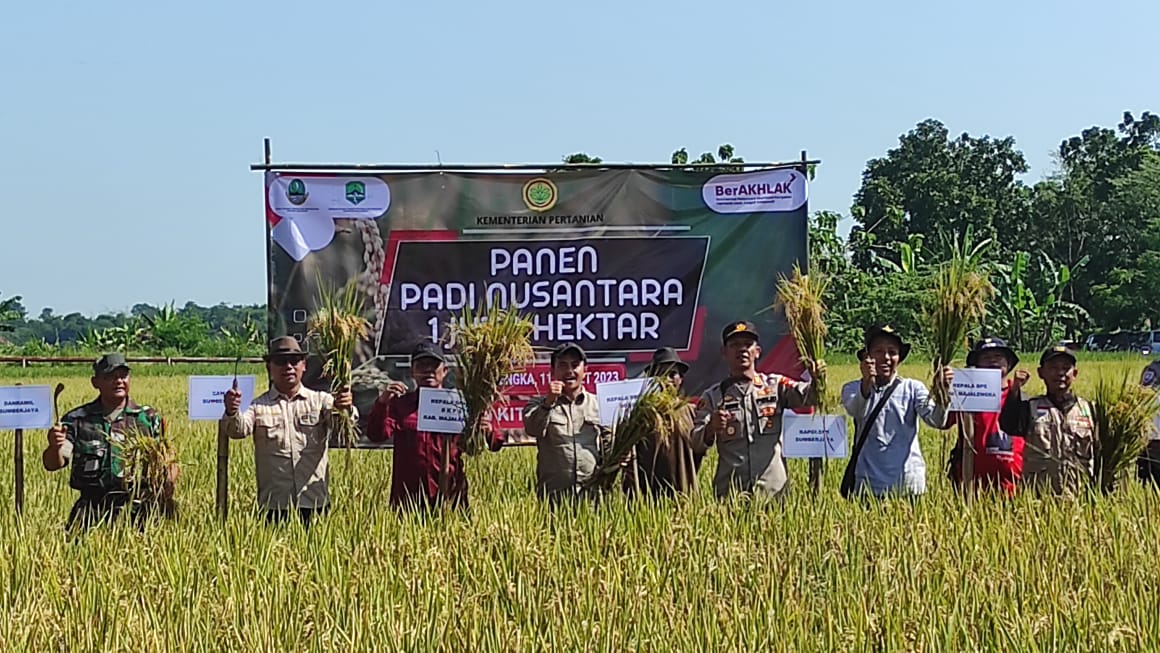 Panen raya tiba, stok kebutuhan beras di Majalengka aman Panen raya tiba, stok kebutuhan beras di Majalengka aman