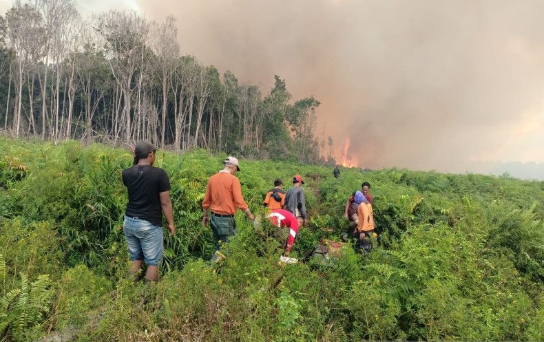 Balai PPIKHL wilayah Sumatera bantu pemadaman kebakaran lahan Pessel