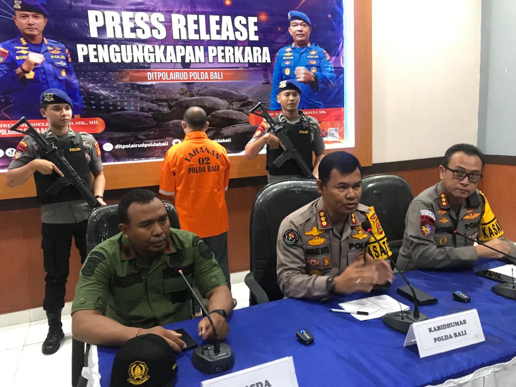 Ditpolairud Polda Bali amankan 21 penyu hijau dilindungi Ditpolairud Polda Bali amankan 21 penyu hijau dilindungi