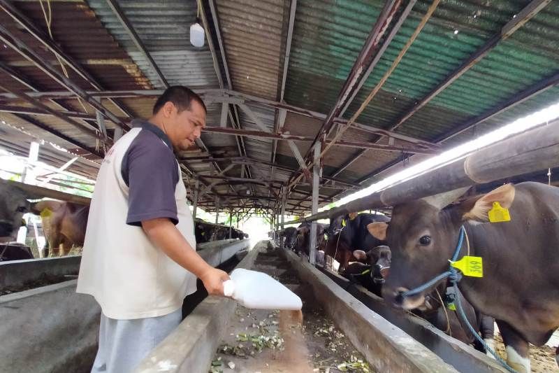 Pedagang hewan kurban di Depok gunakan barcode