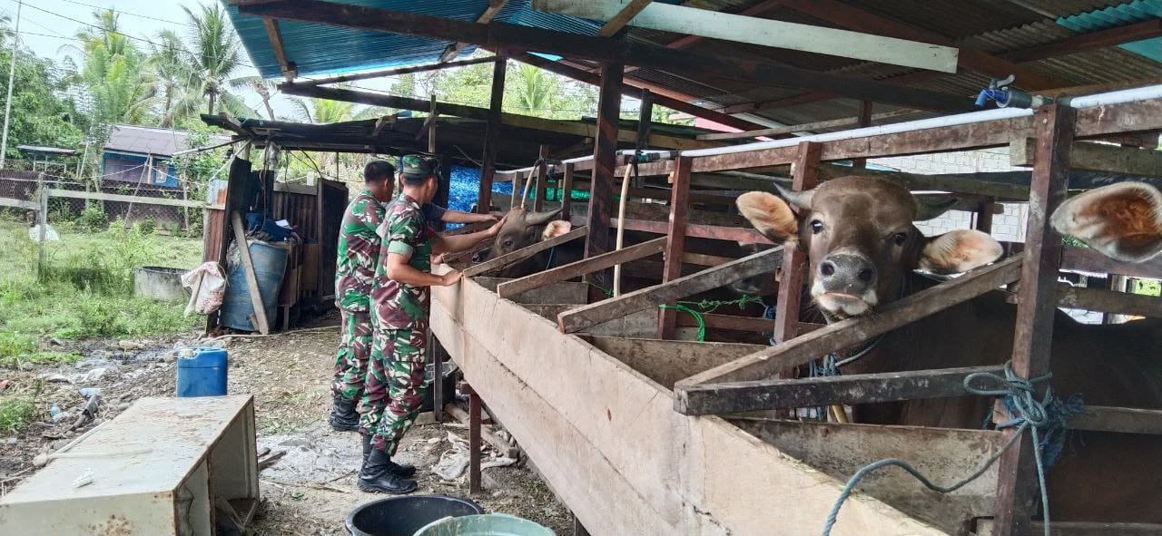 Jalin silaturahmi, Babinsa Mapurujaya komsos dengan peternak sapi Jalin silaturahmi, Babinsa Mapurujaya komsos dengan peternak sapi