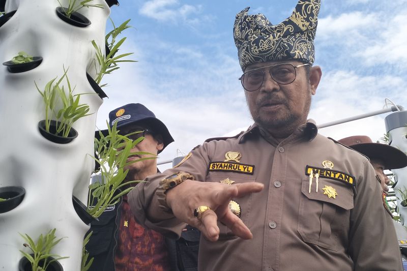 Presiden dijadwalkan lepas benih varietas padi gogo pada Penas Tani Presiden dijadwalkan lepas benih varietas padi gogo pada Penas Tani