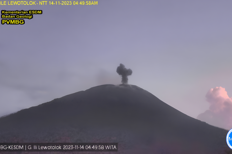 Gunung Ili Lewotolok NTT semburkan abu vulkanik setinggi 300 meter Gunung Ili Lewotolok NTT semburkan abu vulkanik setinggi 300 meter