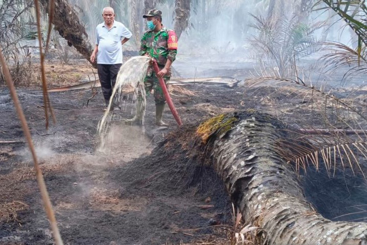 Kebakaran lahan gambut sebabkan Mukomuko diselimuti kabut asap Kebakaran lahan gambut sebabkan Mukomuko diselimuti kabut asap