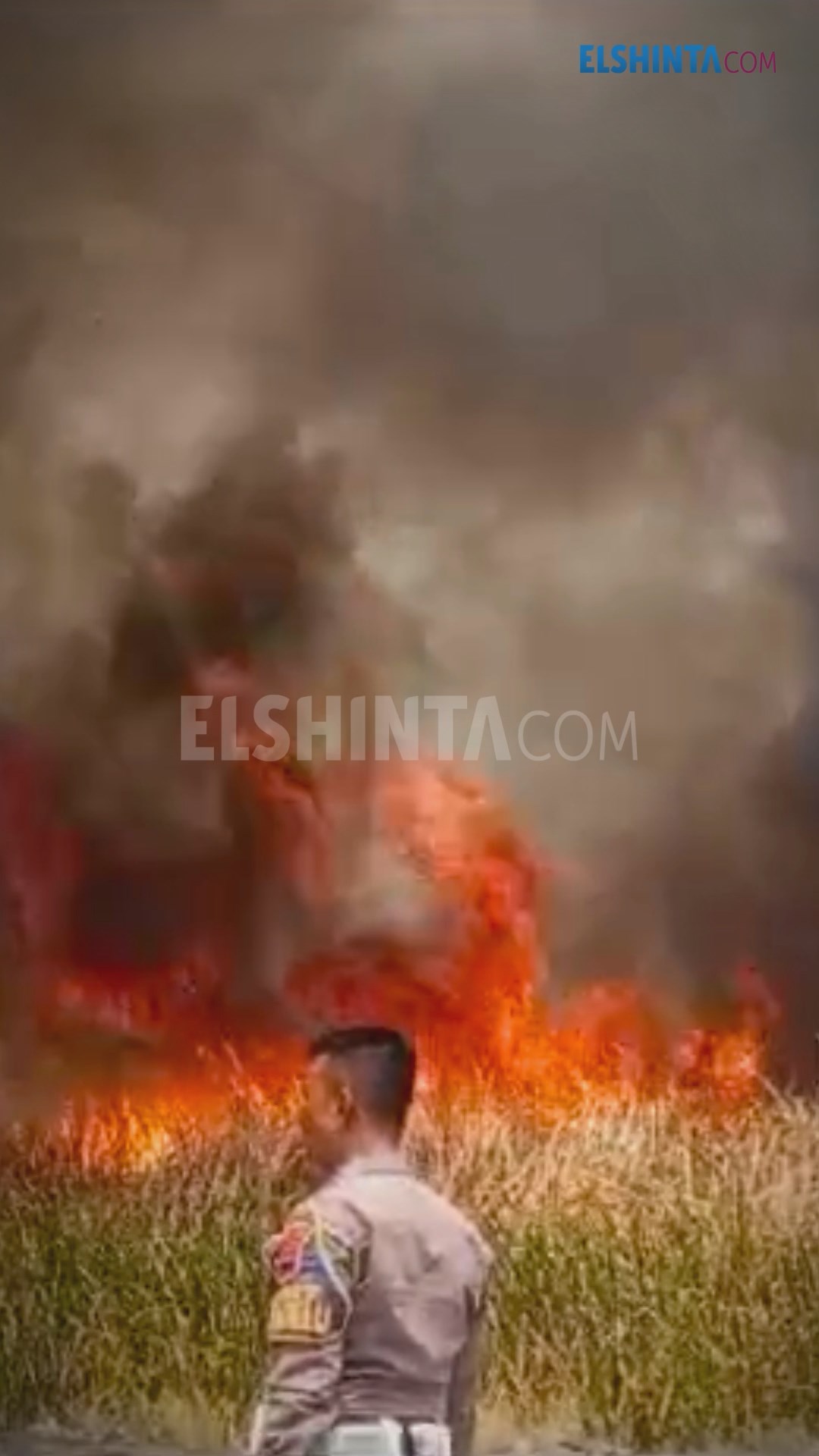 Lahan terbakar di Tegal Lahan terbakar di Tegal