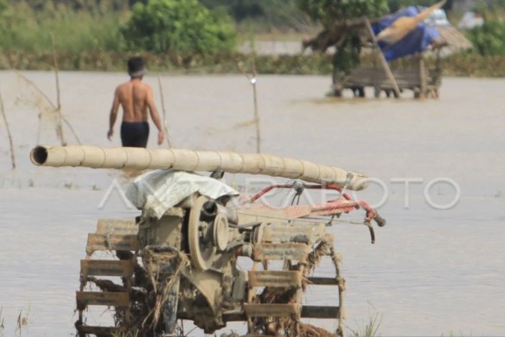2.854 Ha sawah petani di Aceh Barat terendam banjir
