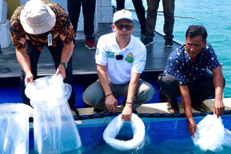 Baznas DKI berikan 24.000 benih ikan kepada kelompok tani Pulau Tidung Baznas DKI berikan 24.000 benih ikan kepada kelompok tani Pulau Tidung