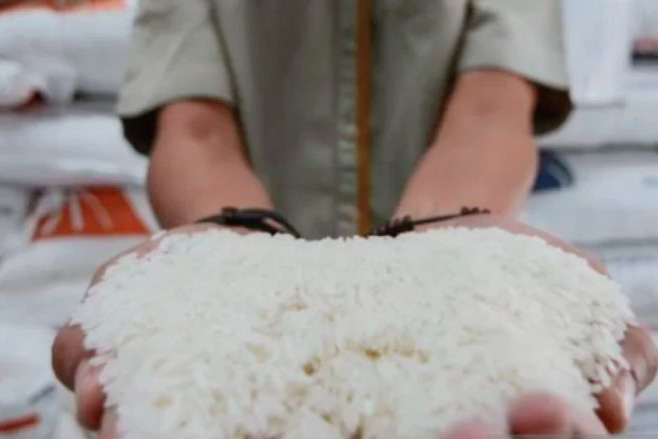 Syaiful Bahari ragukan efektivitas impor beras meredam kenaikan harga Syaiful Bahari ragukan efektivitas impor beras meredam kenaikan harga