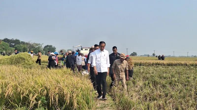 Pemanfaatan lahan rawa solusi masa depan ketahanan pangan Indonesia Pemanfaatan lahan rawa solusi masa depan ketahanan pangan IndonesiaÂ