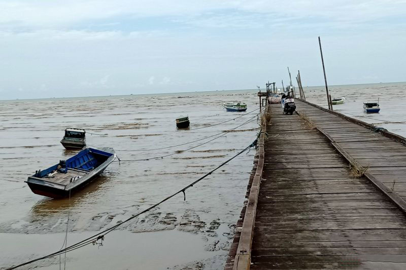 Dinas Perikanan Penajam diminta siap pasok ikan ke Kota Nusantara Dinas Perikanan Penajam diminta siap pasok ikan ke Kota Nusantara