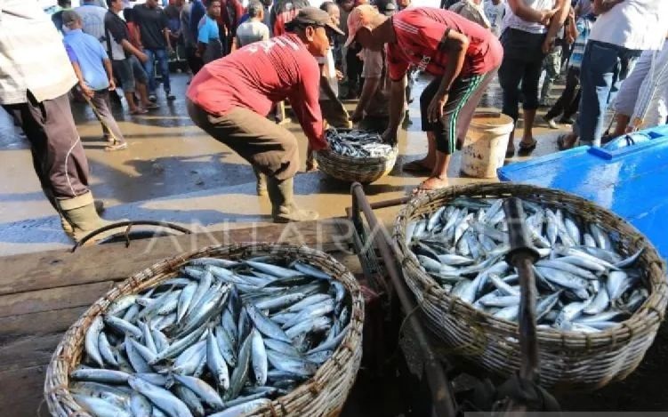 Tingkat konsumsi ikan di Aceh lampaui angka rata-rata nasional Tingkat konsumsi ikan di Aceh lampaui angka rata-rata nasional