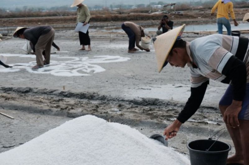 Kolaborasi petani garam hasilkan seni lukisan garam raksasa Kolaborasi petani garam hasilkan seni lukisan garam raksasa