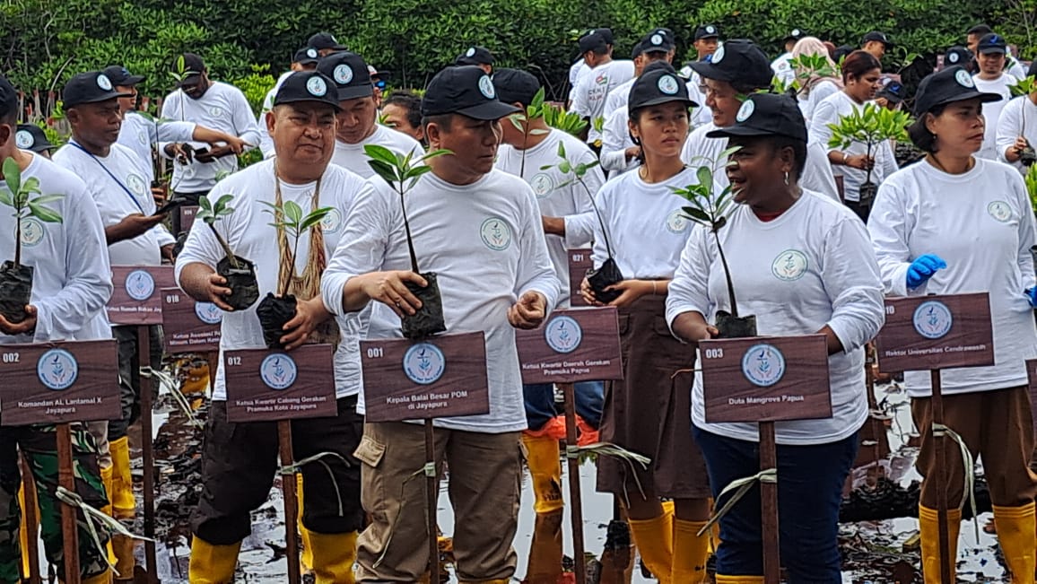 BPOM tanam 300 bibit mangrove di kawasan Jembatan Youtefa Jayapura BPOM tanam 300 bibit mangrove di kawasan Jembatan Youtefa Jayapura