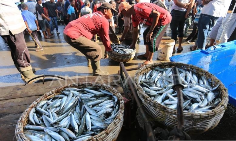 KNTI ajak masyarakat Aceh lebih giat konsumsi ikan KNTI ajak masyarakat Aceh lebih giat konsumsi ikan