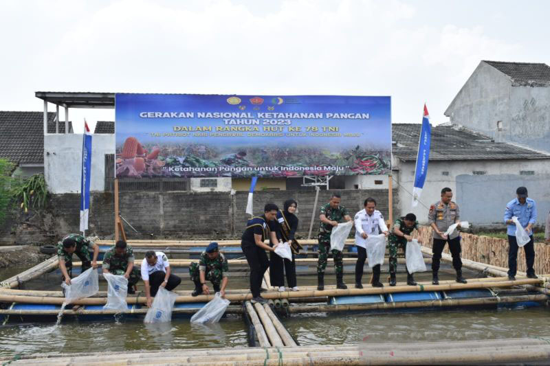 Lanal Palembang tebar empat ribu ekor benih lele dan nila merah