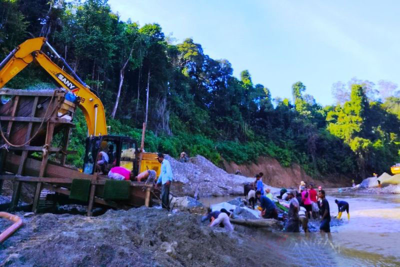 Yayasan Apel Green sebut: Kerusakan hutan di Nagan Raya capai 972 hektar