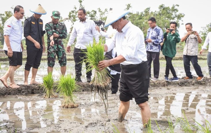 Mentan Amran nilai program food estate perlu dilanjutkan Mentan Amran nilai program food estate perlu dilanjutkan