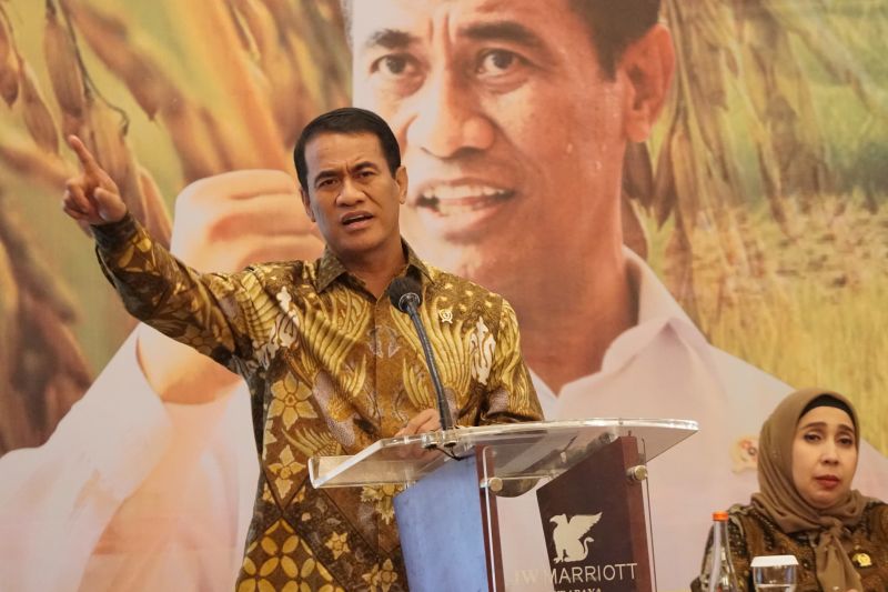 Mentan genjot peningkatan produksi padi-jagung wujudkan swasembada