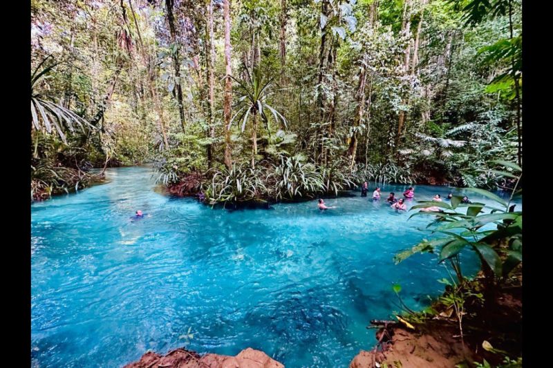 Menyelami keindahan Kali Biru, surga di pedalaman Raja Ampat Menyelami keindahan Kali Biru, surga di pedalaman Raja Ampat