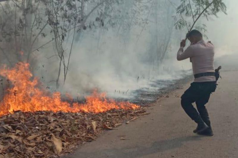 Polisi dan warga padamkan kebakaran hutan dan lahan di Tanimbar-Maluku Polisi dan warga padamkan kebakaran hutan dan lahan di Tanimbar-Maluku