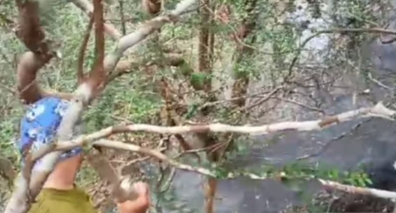 Kebakaran hutan Gunung Bantan Belitung berhasil dipadamkan Kebakaran hutan Gunung Bantan Belitung berhasil dipadamkan