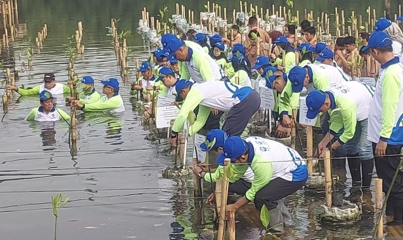 TransJakarta gandeng aneka mitra tanam mangrove di pesisir DKI TransJakarta gandeng aneka mitra tanam mangrove di pesisir DKI