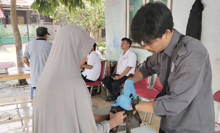 Pemkab Bogor suntik 3.000 dosis vaksin rabies gratis hewan milik warga
