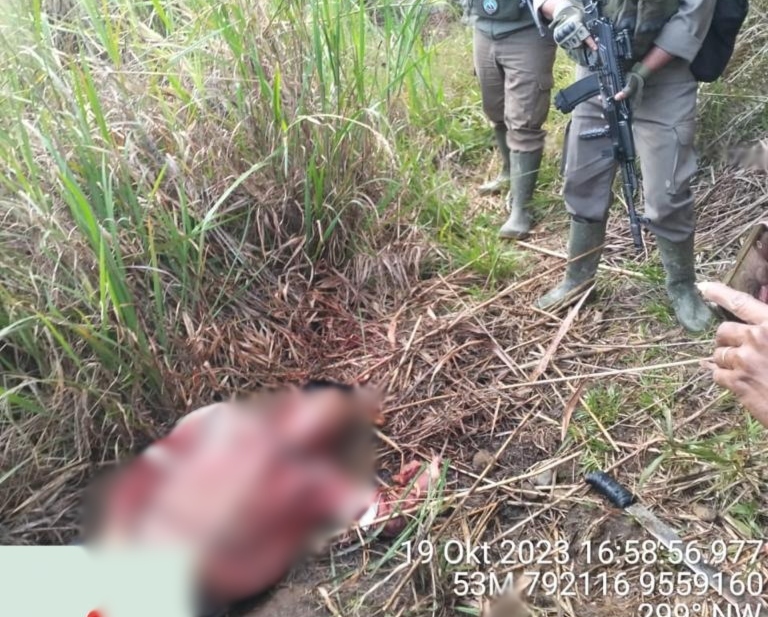 22 pekerja bangunan puskesmas diserang KKB Papua, 1 tewas, 2 kena panah 22 pekerja bangunan puskesmas diserang KKB Papua, 1 tewas, 2 kena panah