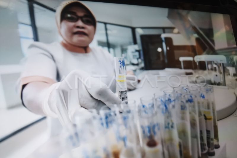 Waspada! BRIN ungkap potensi masuknya virus nipah ke Indonesia