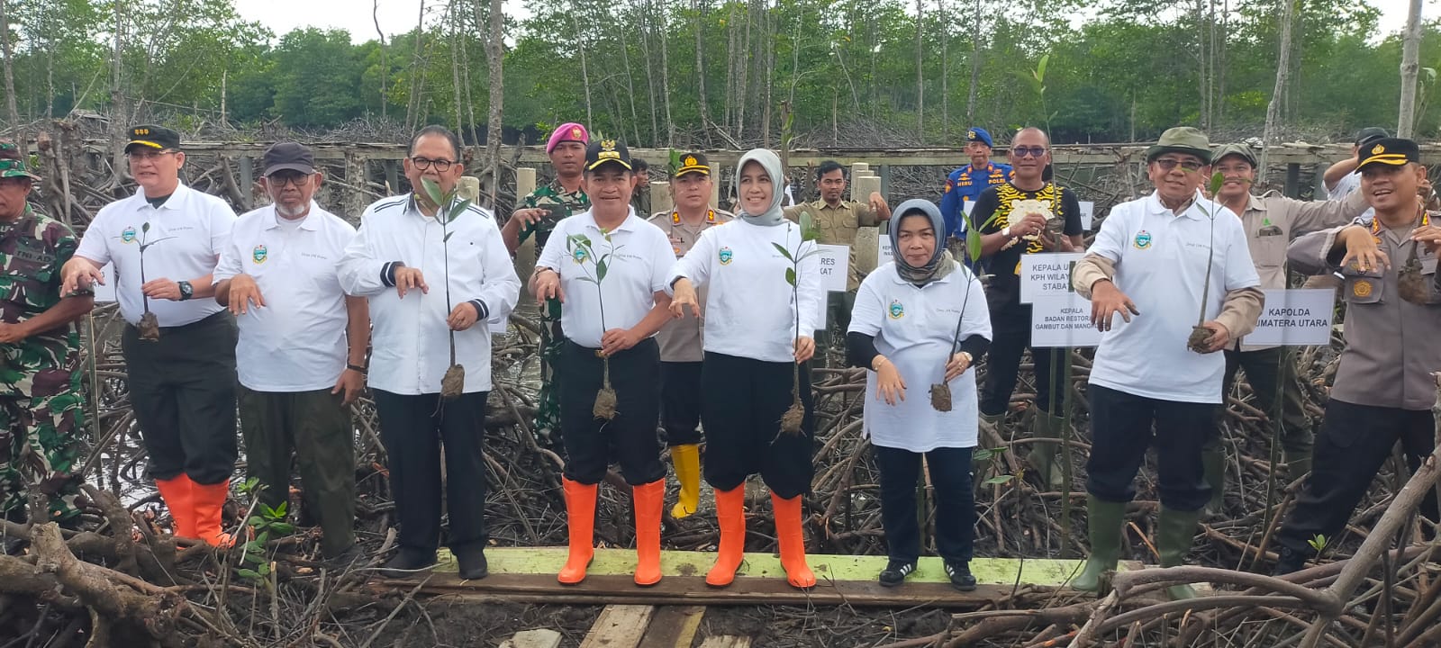 Pj Gubsu kaget ratusan hektare hutan mangrove di Langkat rusak parah Pj Gubsu kaget ratusan hektare hutan mangrove di Langkat rusak parah