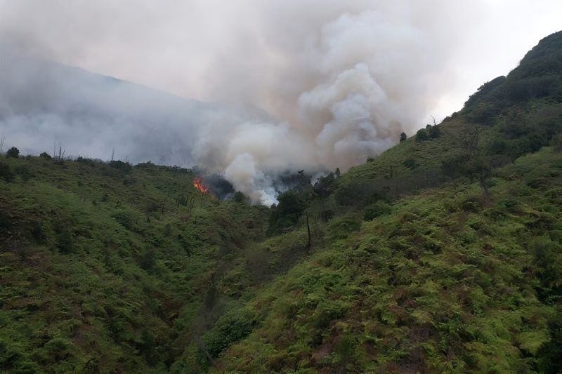 KLHK nyatakan karhutla Gunung Papandayan telah dilokalisir