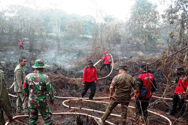 Jumlah titik panas di Kalimantan Timur turun dari 132 menjadi 79 Jumlah titik panas di Kalimantan Timur turun dari 132 menjadi 79