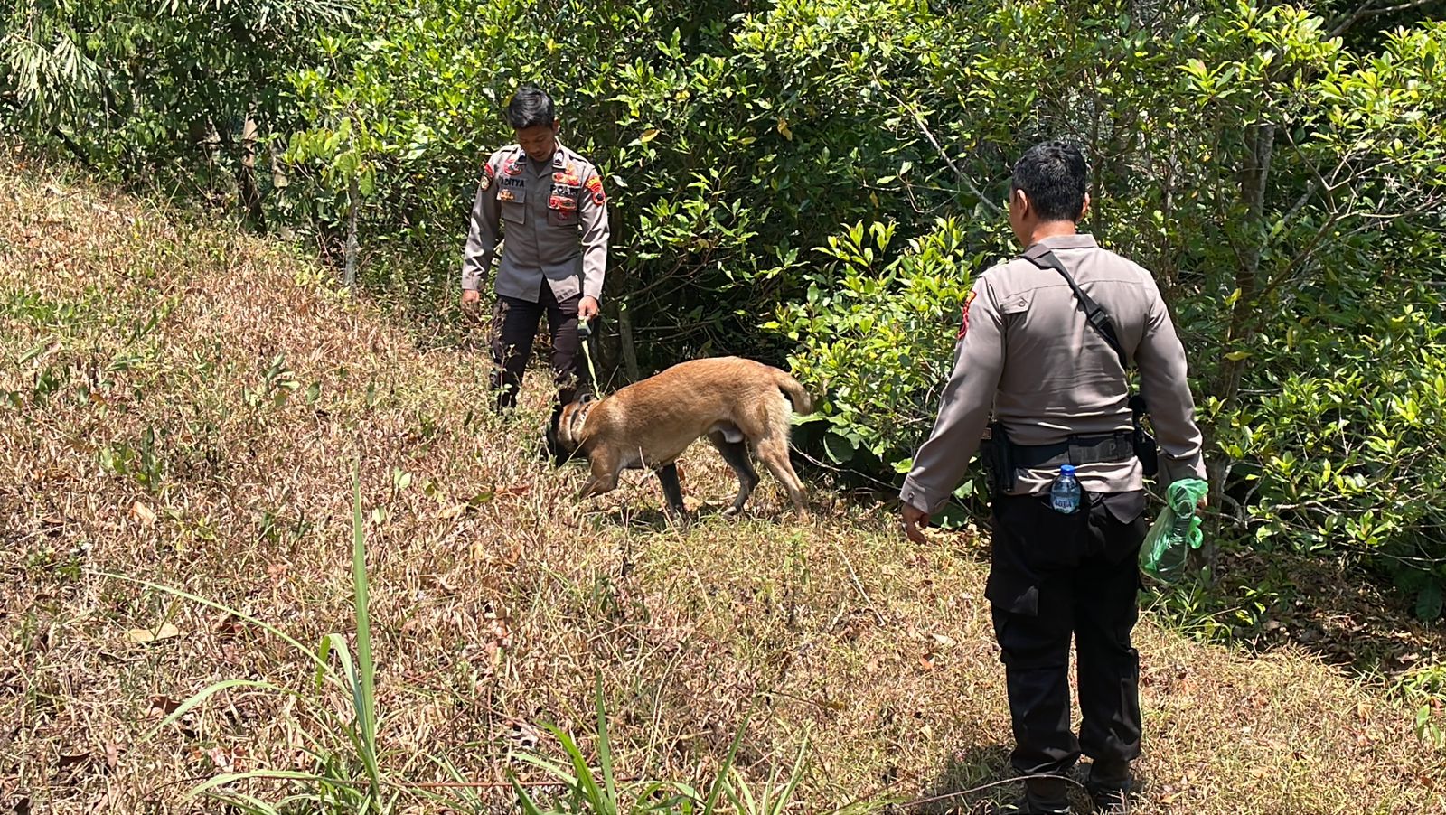 6 hari hilang di Gunung Ungaran, Suwardi belum ditemukan 6 hari hilang di Gunung Ungaran, Suwardi belum ditemukan