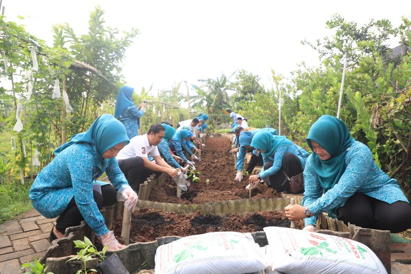 Program Maklor PKK Periuk Tangerang berhasil turunkan kasus stunting Program Maklor PKK Periuk Tangerang berhasil turunkan kasus stunting
