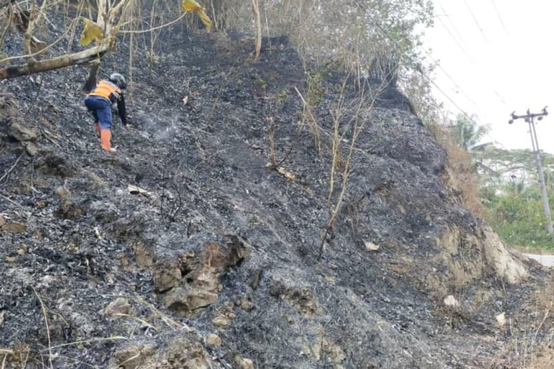 Kebakaran lahan di Cilacap cepat tertangani oleh tim gabungan Kebakaran lahan di Cilacap cepat tertangani oleh tim gabungan