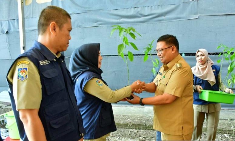 Pemkot Palopo canangkan gerakan tanam cabai untuk kendalikan inflasi Pemkot Palopo canangkan gerakan tanam cabai untuk kendalikan inflasi