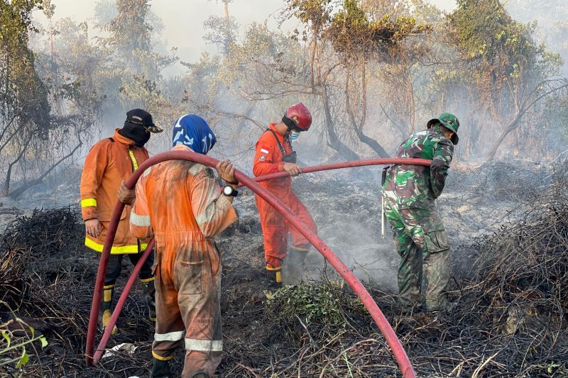 BPBD Babel ungkap 1.476,86 hektare lahan hutan terbakar dampak El Nino